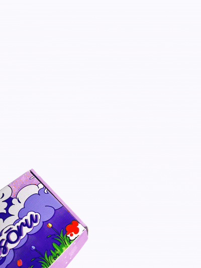 Besties Hamper - Mimi & Toffee Plushie Set